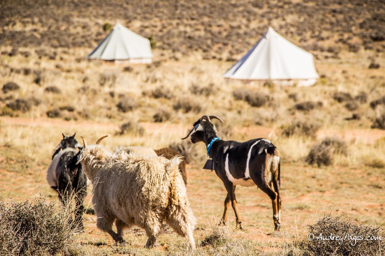 Shash Dine' Ecoretreat Page Buitenkant foto